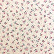 Linho Estampado Premium Flor com Poá 80% Algodão 20% Linho 1,53m Largura - Variante 3