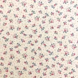 Linho Estampado Premium Flor com Poá 80% Algodão 20% Linho 1,53m Largura - Variante 3