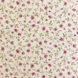 Linho Estampado Premium Raminhos 80% Algodão 20% Linho - Variante 2