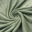 Manta Fleece Flanelada Lisa - 100% Poliéster - 2,5m Largura - Verde envelhecido