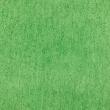 Microfibra Felpuda Lisa 80% Poliéster 20% Poliamida 1,45m Largura - Verde