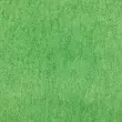 Microfibra Felpuda Lisa 80% Poliéster 20% Poliamida 1,45m Largura - Verde