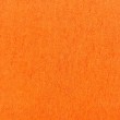 Microfibra Felpuda Lisa 80% Poliéster 20% Poliamida 1,45m Largura - Laranja neon
