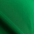 Microfibra Nacional Lisa (Tactel) - 1,60m largura - Verde bandeira