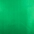 Nylon Dublado Acoplado Larg. 1,40M - Verde bandeira