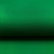 Nylon Paraquedas 100% Poliamida 1,50m largura - Verde bandeira Nylon Paraquedas 100% Poliamida 1,50m largura - Verde bandeira