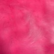 Pelúcia Prime - Pelo Alto - 100% Poliéster - Pink