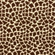Pelúcia Velboa Estampada - Girafa - 1,50m largura - Variante 1