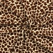 Pelúcia Velboa Estampada - Girafa - 1,50m largura - Variante 1