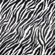 Pelúcia Velboa Estampada - Zebra - 1,50m largura - Variante 1