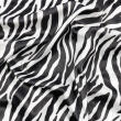 Pelúcia Velboa Estampada - Zebra - 1,50m largura - Variante 1
