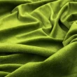 Plush Liso 100% Poliéster 1,60m Largura - Verde Plush Liso 100% Poliéster 1,60m Largura - Verde