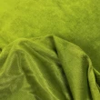 Plush Liso 100% Poliéster 1,60m Largura - Verde Plush Liso 100% Poliéster 1,60m Largura - Verde