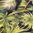Sarja Impermeável Digital Folhagens Tropical 100% Algodão 1,50m Largura - Variante 1