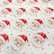 Sarja Impermeável Exclusiva Coleção Natal Papai Noel Gold 100% Algodão 1,50m Largura - Variante 1