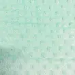 Tecido Manta Fleece Pipoquinha Bolha Revelo Poá 100% Poliéster 1,60m Largura - Verde bebê Tecido Manta Fleece Pipoquinha Bolha Revelo Poá 100% Poliéster 1,60m Largura - Verde bebê