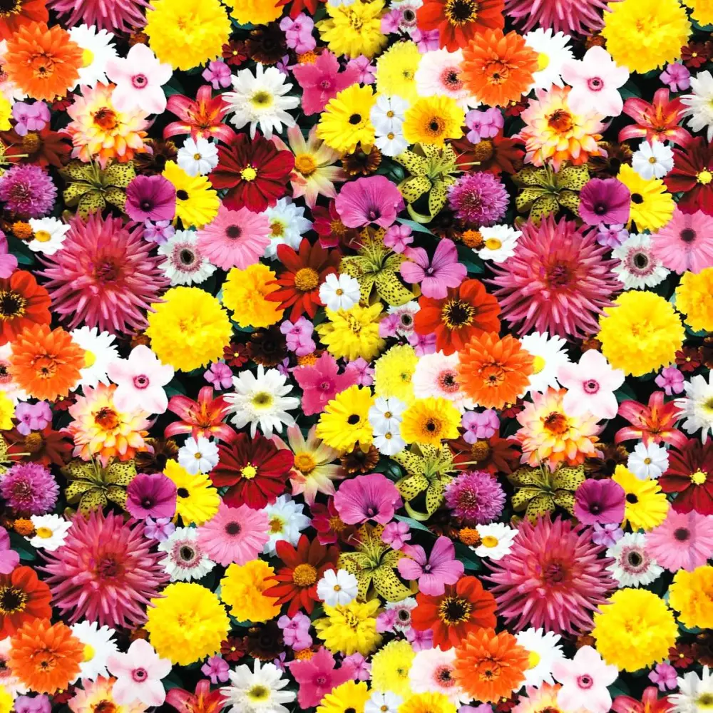 Tricoline Digital Caldeira Melissa 100% Algodão 1,50m Largura - Variante 1 Tricoline Digital Caldeira Melissa 100% Algodão 1,50m Largura - Variante 1