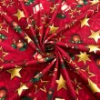 Tricoline Digital Estrela de Natal 100% Algodão 1,50m Largura - Variante 1