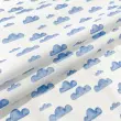 Tricoline Estampa Exclusiva Coleção Céu Azul 100% Algodão 1,50m Largura - Nuvem