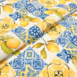 Tricoline Estampada Azulejo Português com Limão Siciliano 100% Algodão 1,50m largura - Variante 1