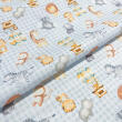 Tricoline Estampada Baby Fundo Xadrez 100% Algodão 1,50m Largura - Variante 1