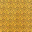 Tricoline Estampada Caldeira Poá Onça 100% Algodão 1,50m Largura - Amarelo