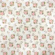 Tricoline Estampada Caldeira Raminhos Angel 100% Algodão 1,50m Largura - Fundo creme