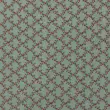 Tricoline Estampada Caldeira Valentina 100% Algodão 1,50m Largura - Verde
