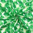 Tricoline Estampada - Folhagens Fundo Branco - 100% Algodão - 1,50m Largura - Variante 1
