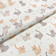 Tricoline Estampada Gatinhos Brincalhões 100% Algodão 1,50m Largura - Variante 1