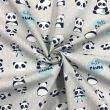 Tricoline Estampada - Hello Panda - 100% Algodão - 1,50m Largura - Variante 1