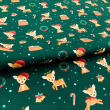 Tricoline Estampada Natal Baby Alce 100% Algodão 1,50m Largura - Variante 1