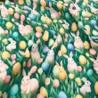 Tricoline Estampada Páscoa Coelhinhos no Gramado 100% Algodão - Variante 1 Tricoline Estampada Páscoa Coelhinhos no Gramado 100% Algodão - Variante 1