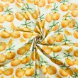 Tricoline Estampada Ramos Laranjas 100% Algodão 1,50m Largura - Variante 1 Tricoline Estampada Ramos Laranjas 100% Algodão 1,50m Largura - Variante 1
