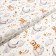 Tricoline Estampada Ursinho na Nuvem 100% Algodão 1,50m largura - Variante 1