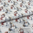 Tricoline Exclusiva Coleção JLM Polo Norte 100% Algodão 1,50m Largura - Boneco de neve