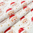Tricoline Exclusiva Coleção Natal Papai Noel Gold 100% Algodão 1,50m Largura - Variante 1