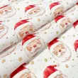 Tricoline Exclusiva Coleção Natal Papai Noel Gold 100% Algodão 1,50m Largura - Variante 1