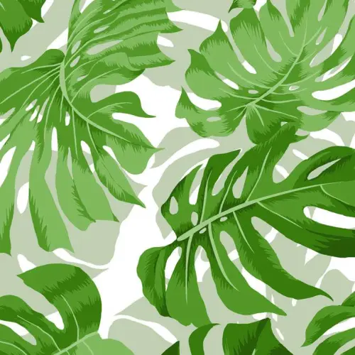 Tricoline Fernando Maluhy - Costela de Adão - 100% Algodão - C01 Tricoline Fernando Maluhy - Costela de Adão - 100% Algodão - C01