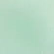 Tricoline Cambraia Flamê 100% Algodão 1,60m Largura - Verde água Tricoline Cambraia Flamê 100% Algodão 1,60m Largura - Verde água